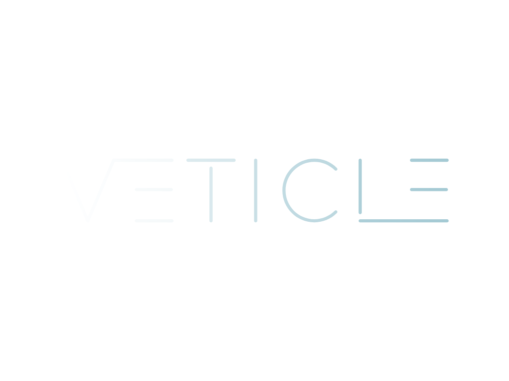 Veticle